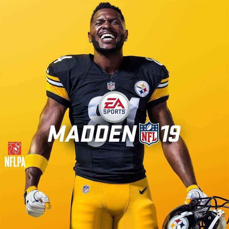 Madden NFL 19 - Steam ключ
