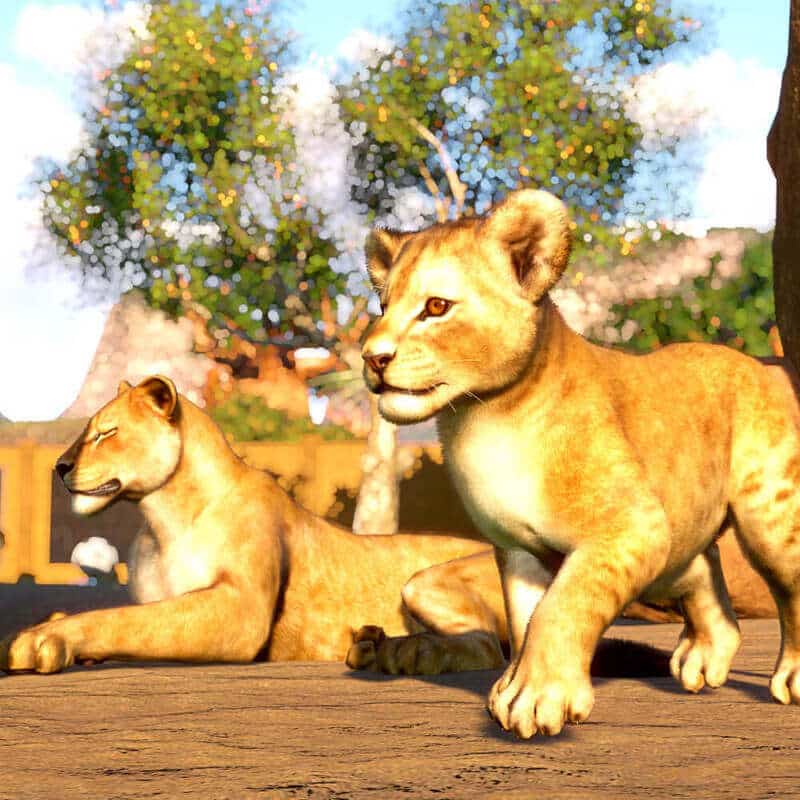 Изображение игры Planet Zoo Planet Zoo - Steam ключ