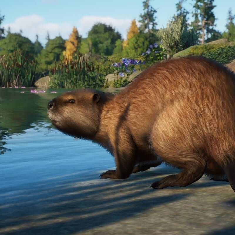Изображение игры Planet Zoo Planet Zoo - Steam ключ