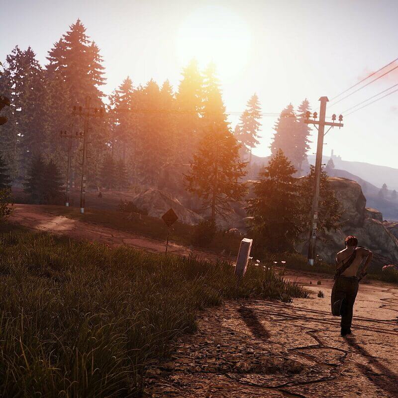 Изображение игры Rust Rust - Steam ключ