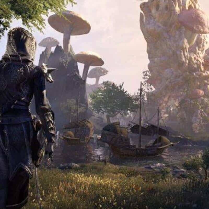 Изображение игры The Elder Scrolls® Online The Elder Scrolls® Online - Steam ключ