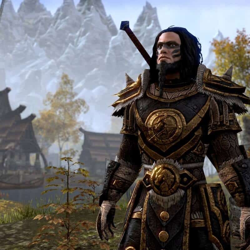 Изображение игры The Elder Scrolls® Online The Elder Scrolls® Online - Steam ключ