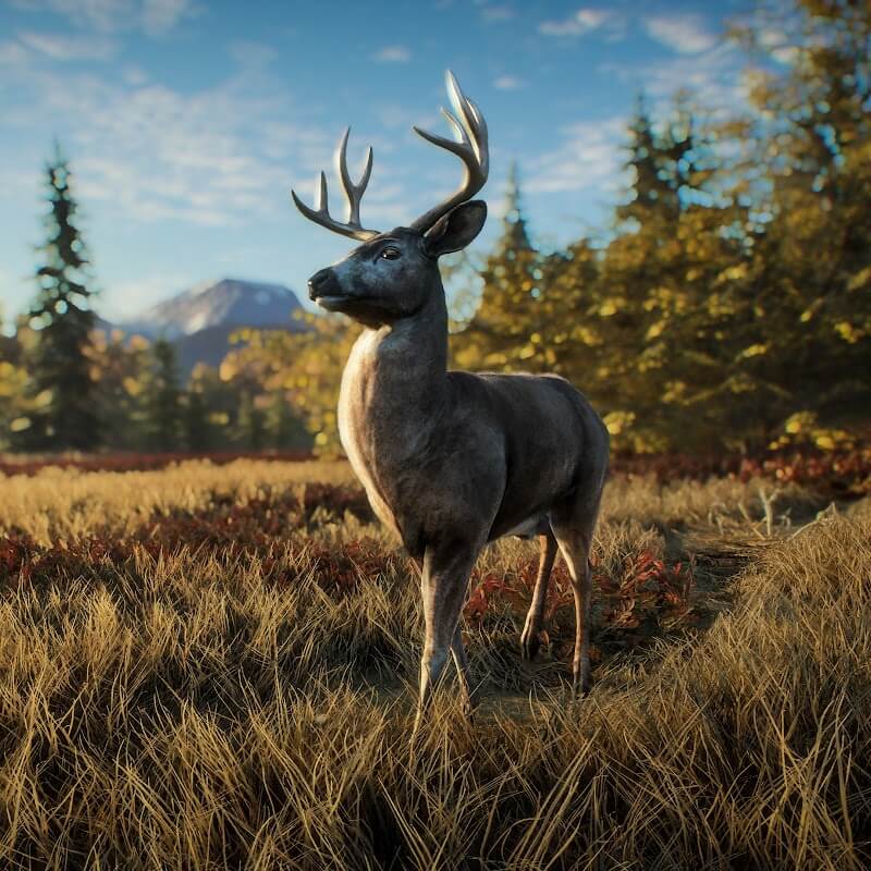 Изображение игры theHunter: Call of the Wild theHunter: Call of the Wild - Steam ключ