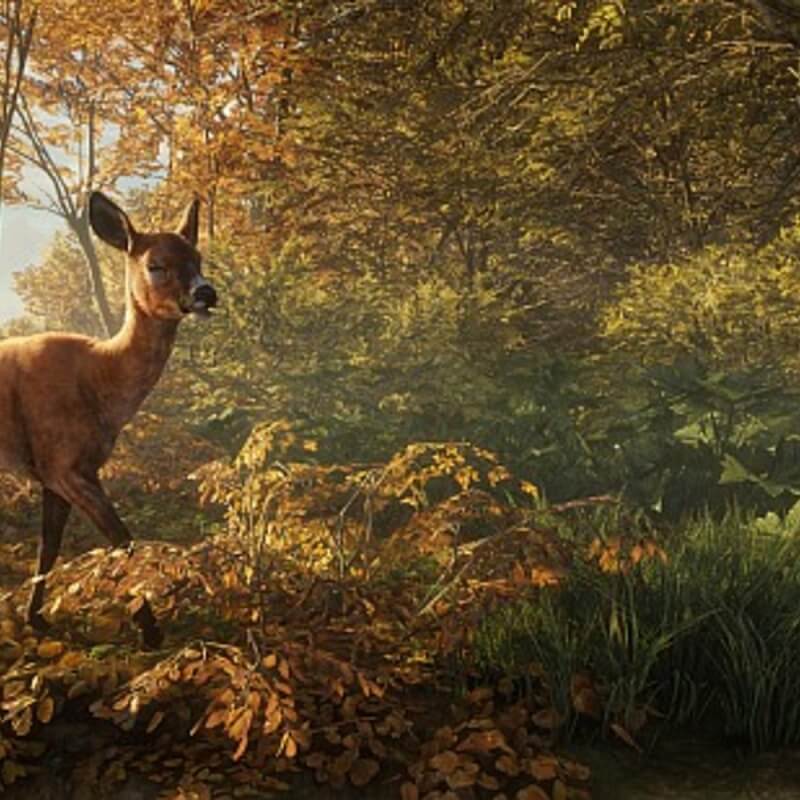 Изображение игры theHunter: Call of the Wild theHunter: Call of the Wild - Steam ключ