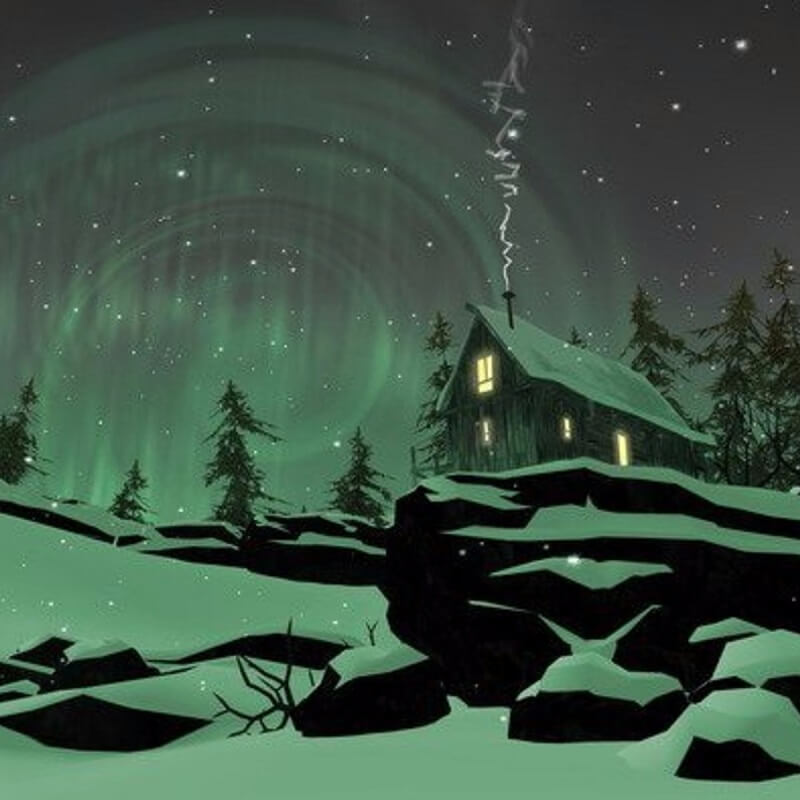 Изображение игры The Long Dark The Long Dark - Steam ключ