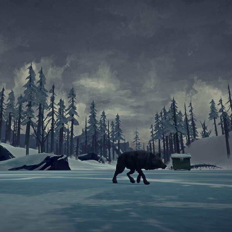 Изображение игры The Long Dark The Long Dark - Steam ключ